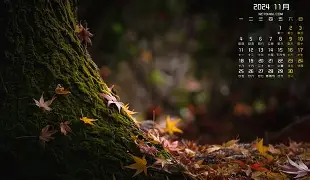 关于布克能重回CBA四强球迷热议的信息|DT电子APP下载